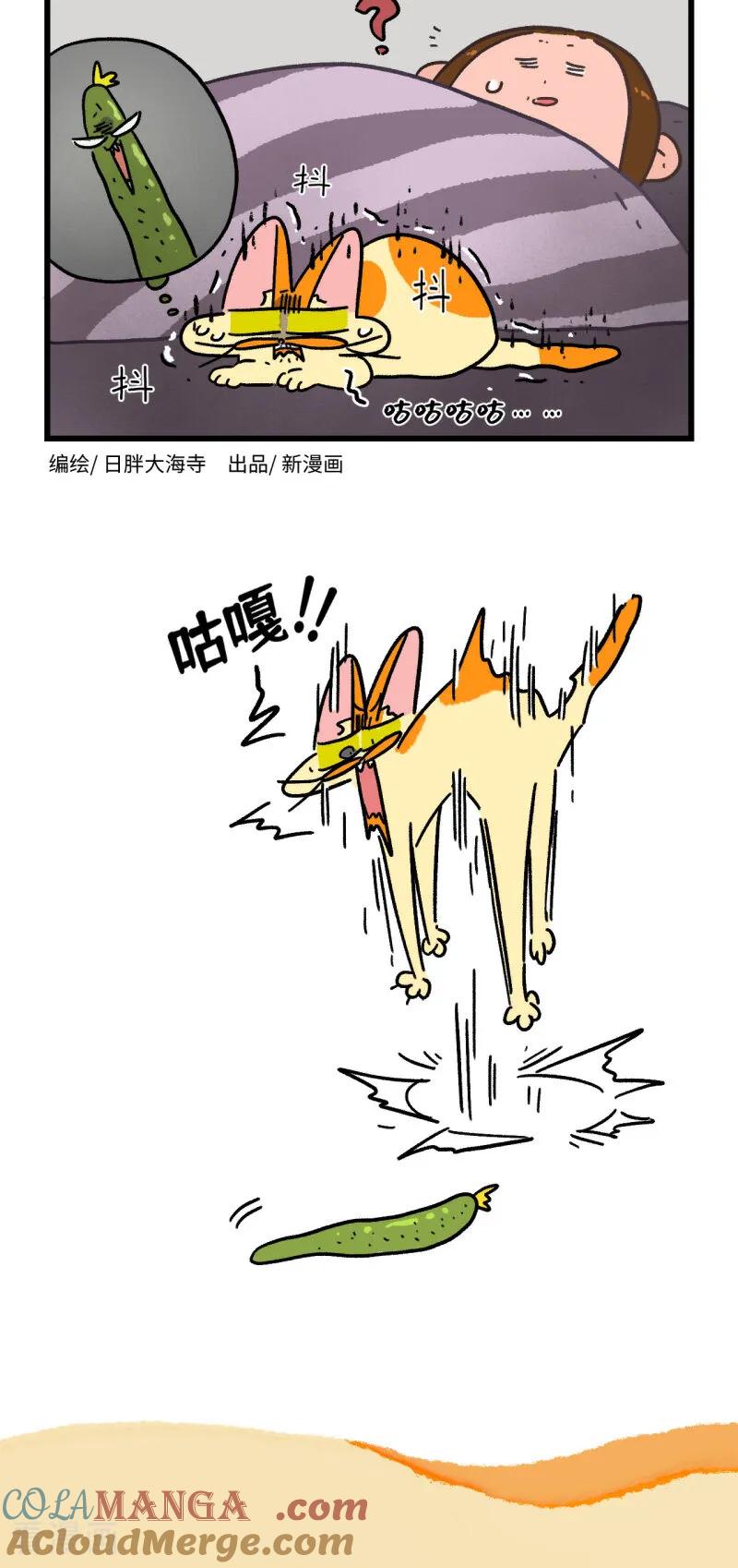 第161话-阿满和麦茶-新漫画 日胖大海寺（第4张）