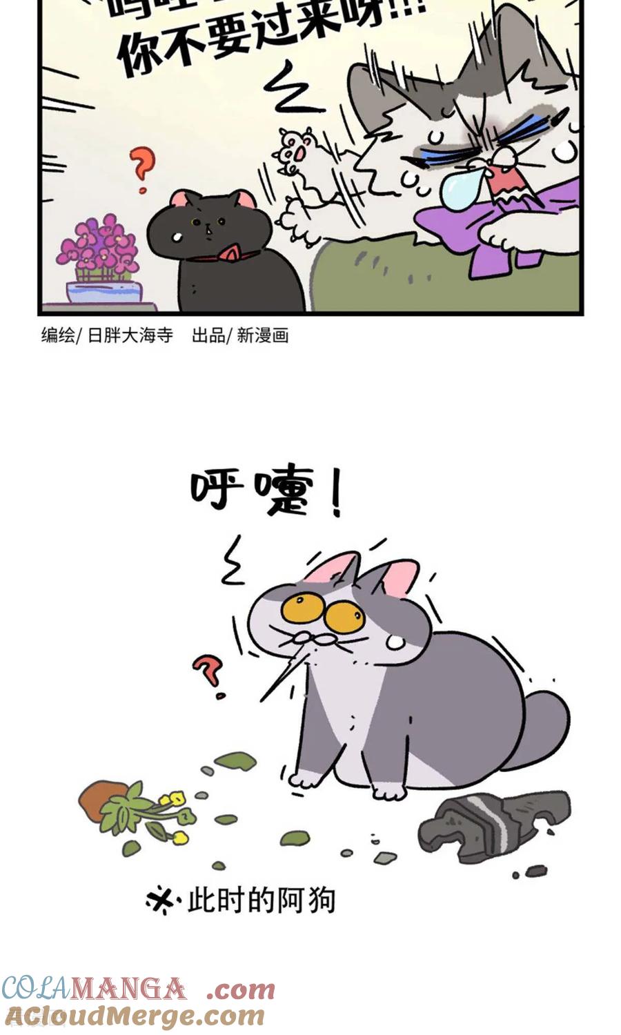 第162话-阿满和麦茶-新漫画 日胖大海寺（第9张）