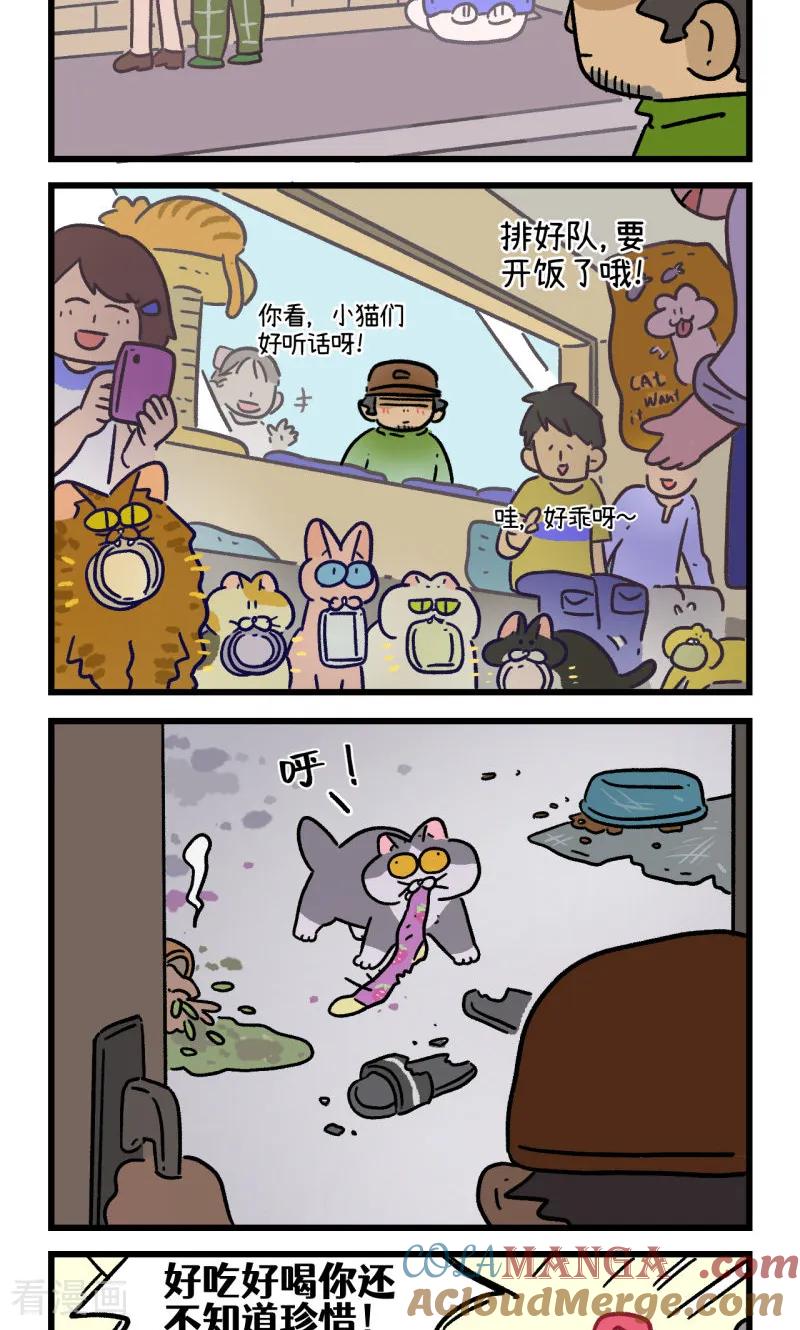第163话-阿满和麦茶-新漫画 日胖大海寺（第8张）