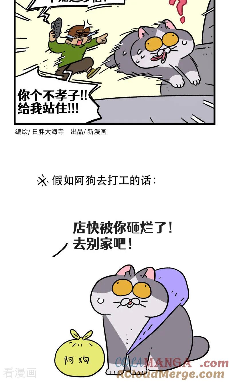 第163话-阿满和麦茶-新漫画 日胖大海寺（第9张）