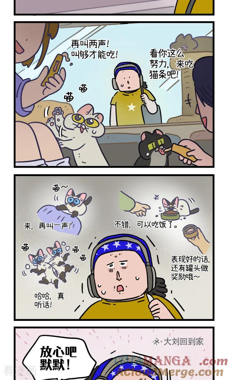 第163话-阿满和麦茶-新漫画 日胖大海寺（第5张）
