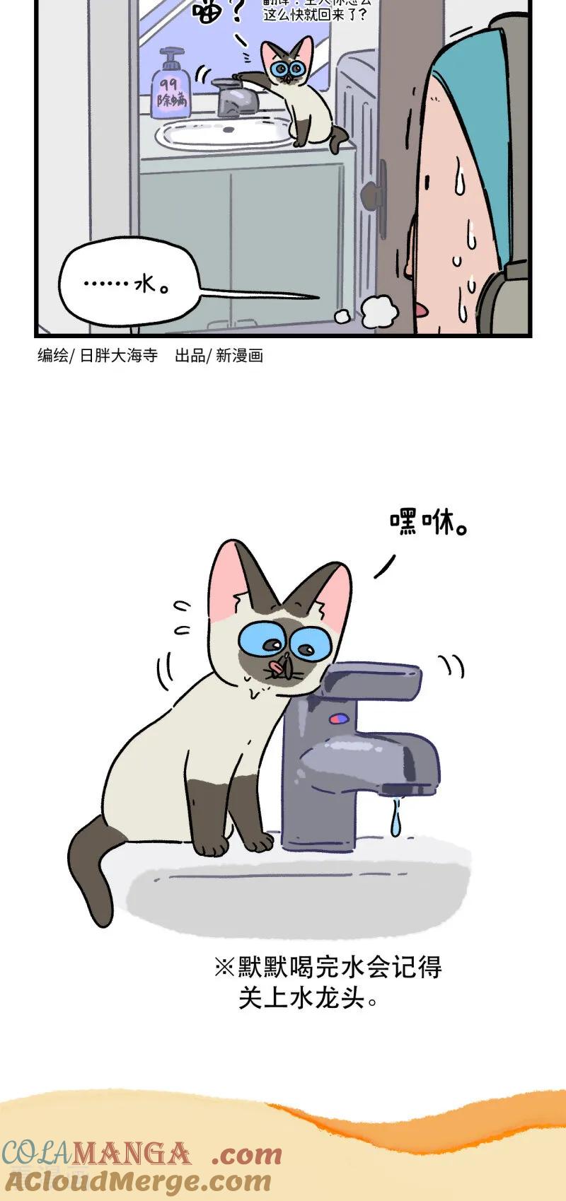 第164话-阿满和麦茶-新漫画 日胖大海寺（第6张）