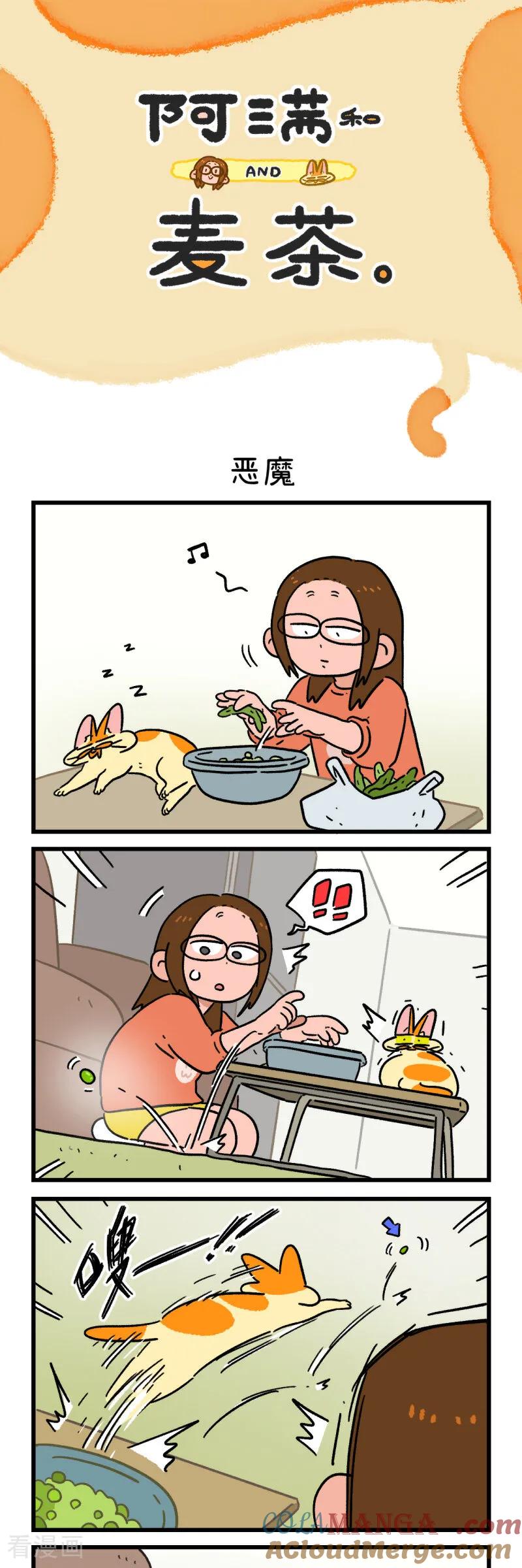 第164话-阿满和麦茶-新漫画 日胖大海寺（第3张）