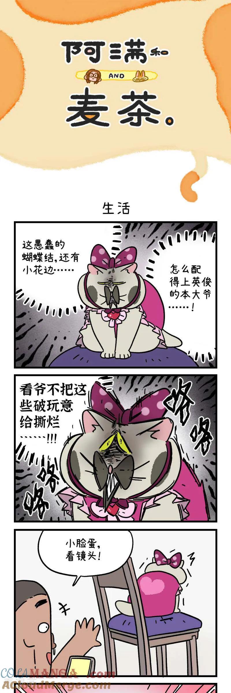 第166话-阿满和麦茶-新漫画 日胖大海寺（第3张）