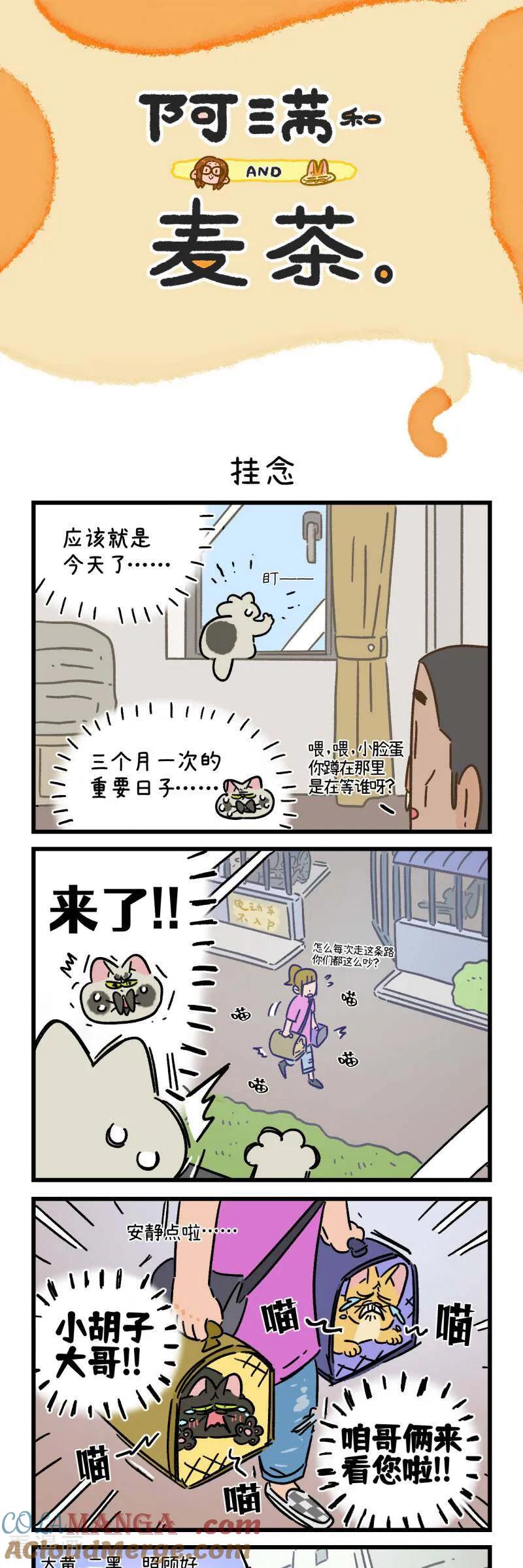 第166话-阿满和麦茶-新漫画 日胖大海寺（第5张）