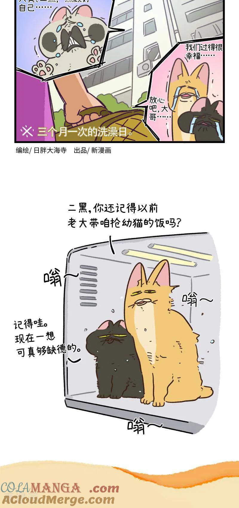 第166话-阿满和麦茶-新漫画 日胖大海寺（第6张）
