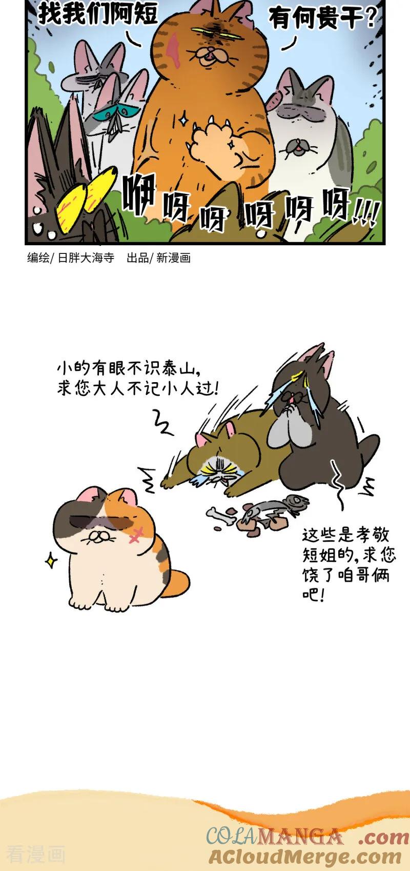 第167话-阿满和麦茶-新漫画 日胖大海寺（第4张）