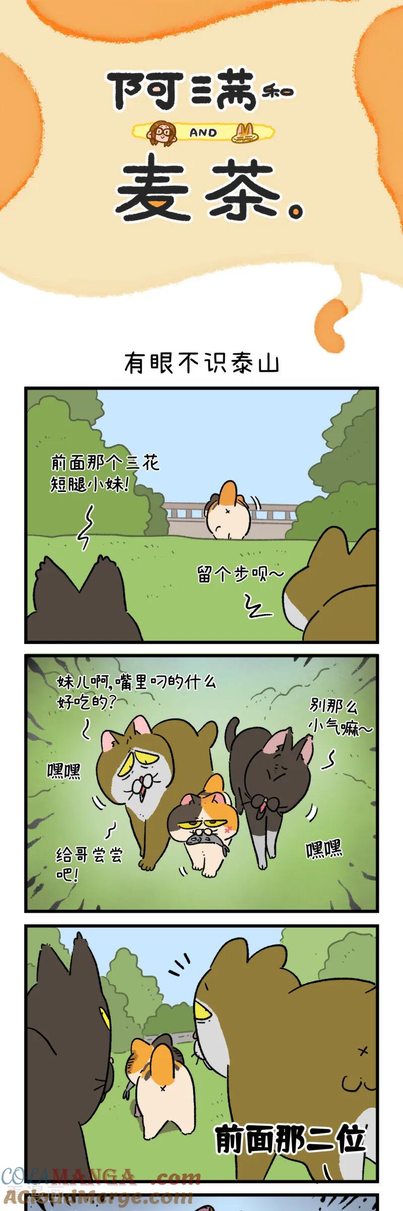 第167话-阿满和麦茶-新漫画 日胖大海寺（第3张）