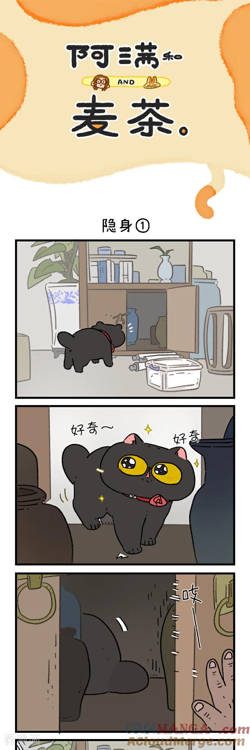 第170话-阿满和麦茶-新漫画 日胖大海寺（第5张）