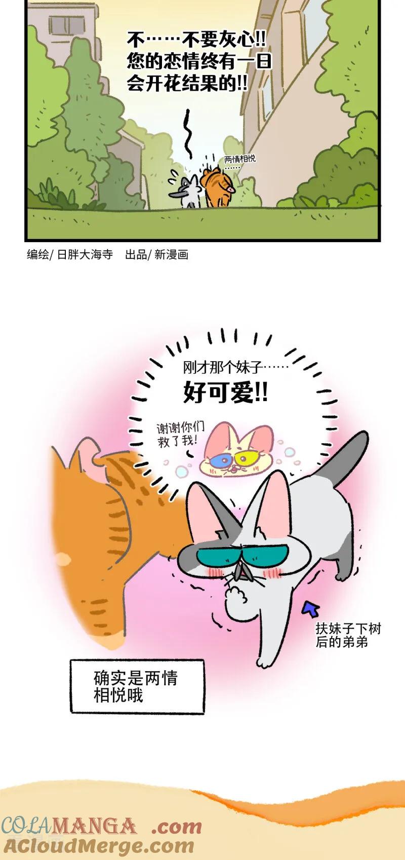 第171话-阿满和麦茶-新漫画 日胖大海寺（第8张）