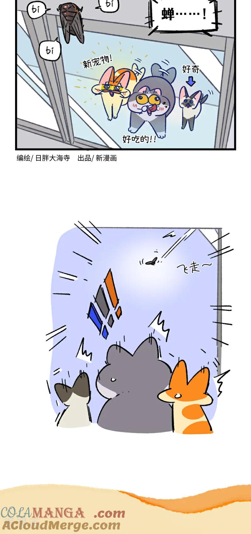 第172话-阿满和麦茶-新漫画 日胖大海寺（第2张）