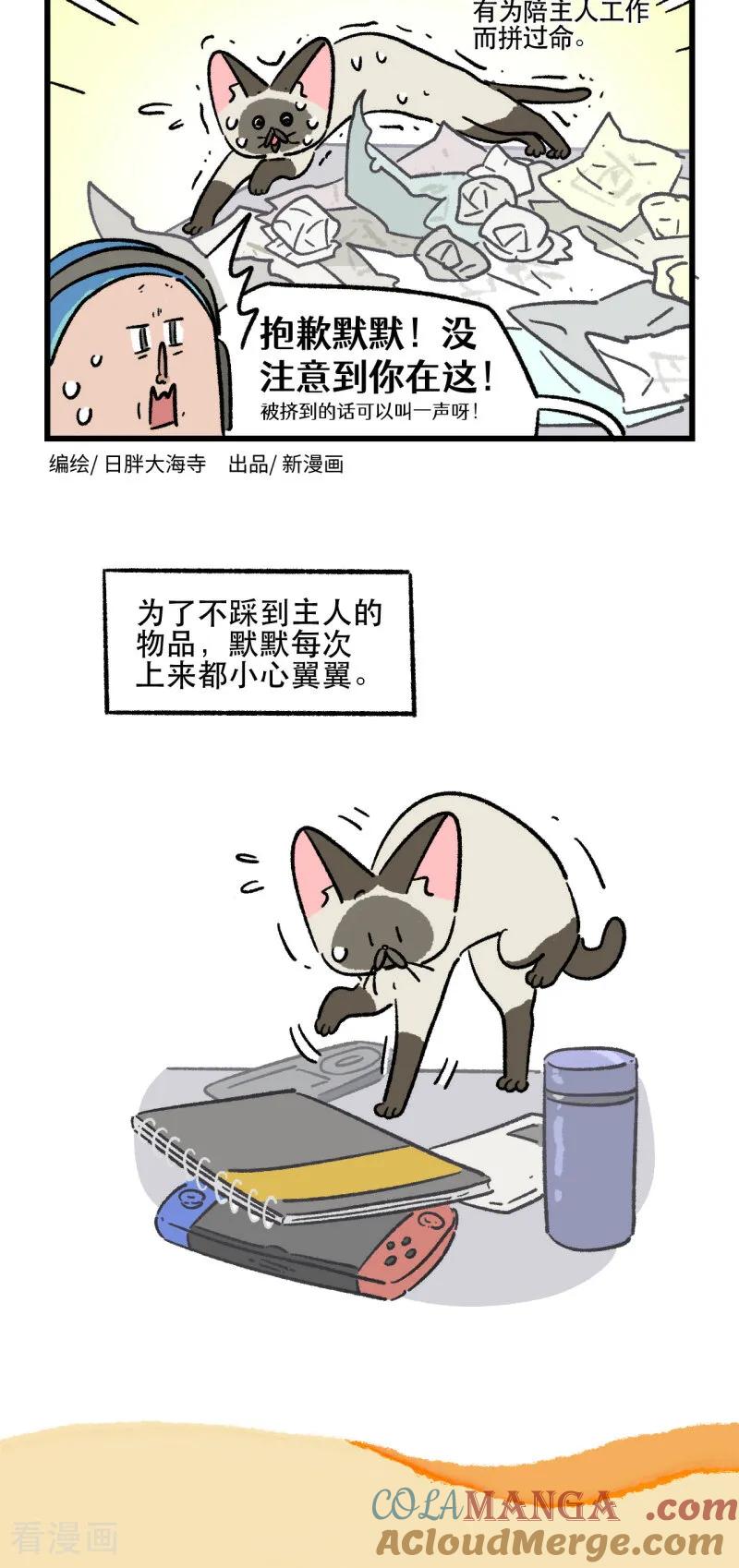 第173话-阿满和麦茶-新漫画 日胖大海寺（第6张）