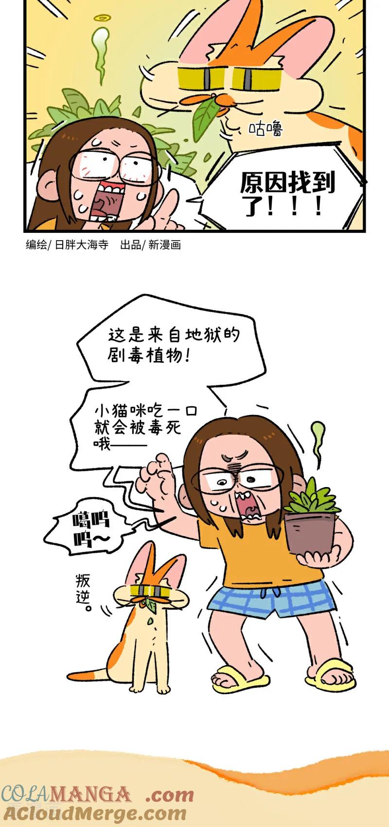 第175话-阿满和麦茶-新漫画 日胖大海寺（第4张）