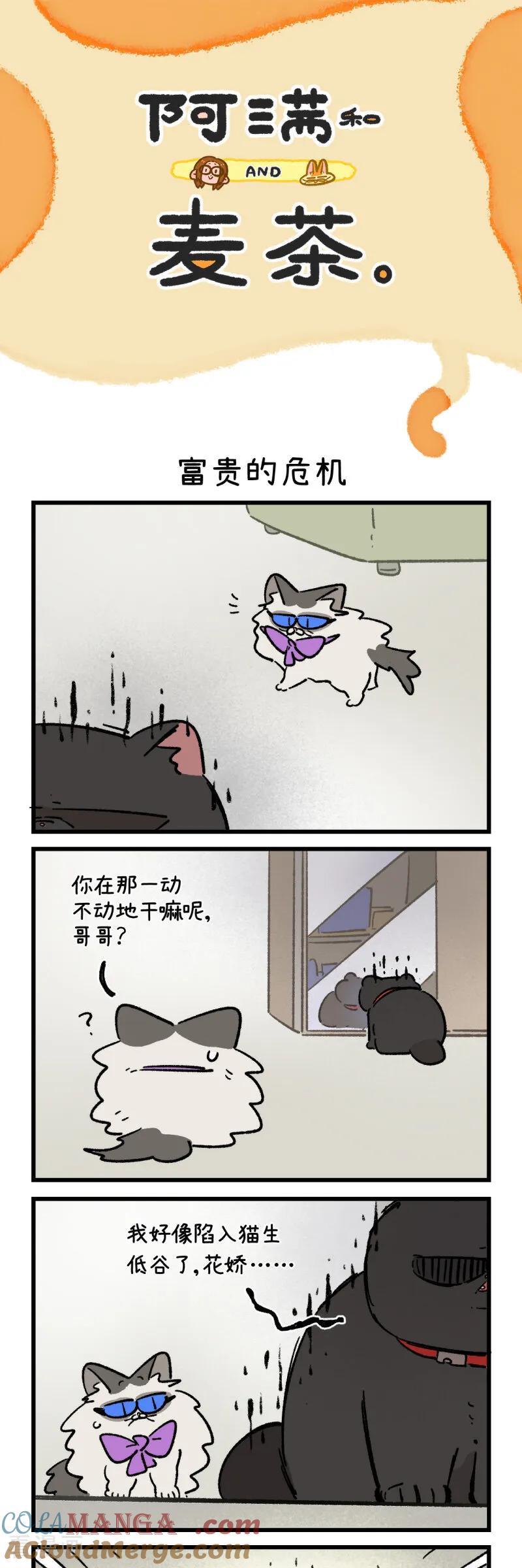 第176话-阿满和麦茶-新漫画 日胖大海寺（第3张）