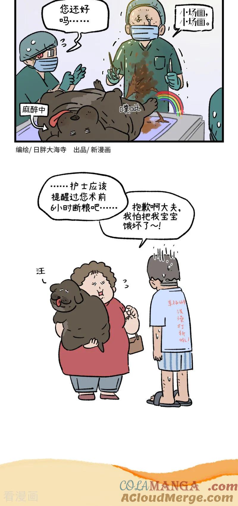 第177话-阿满和麦茶-新漫画 日胖大海寺（第2张）