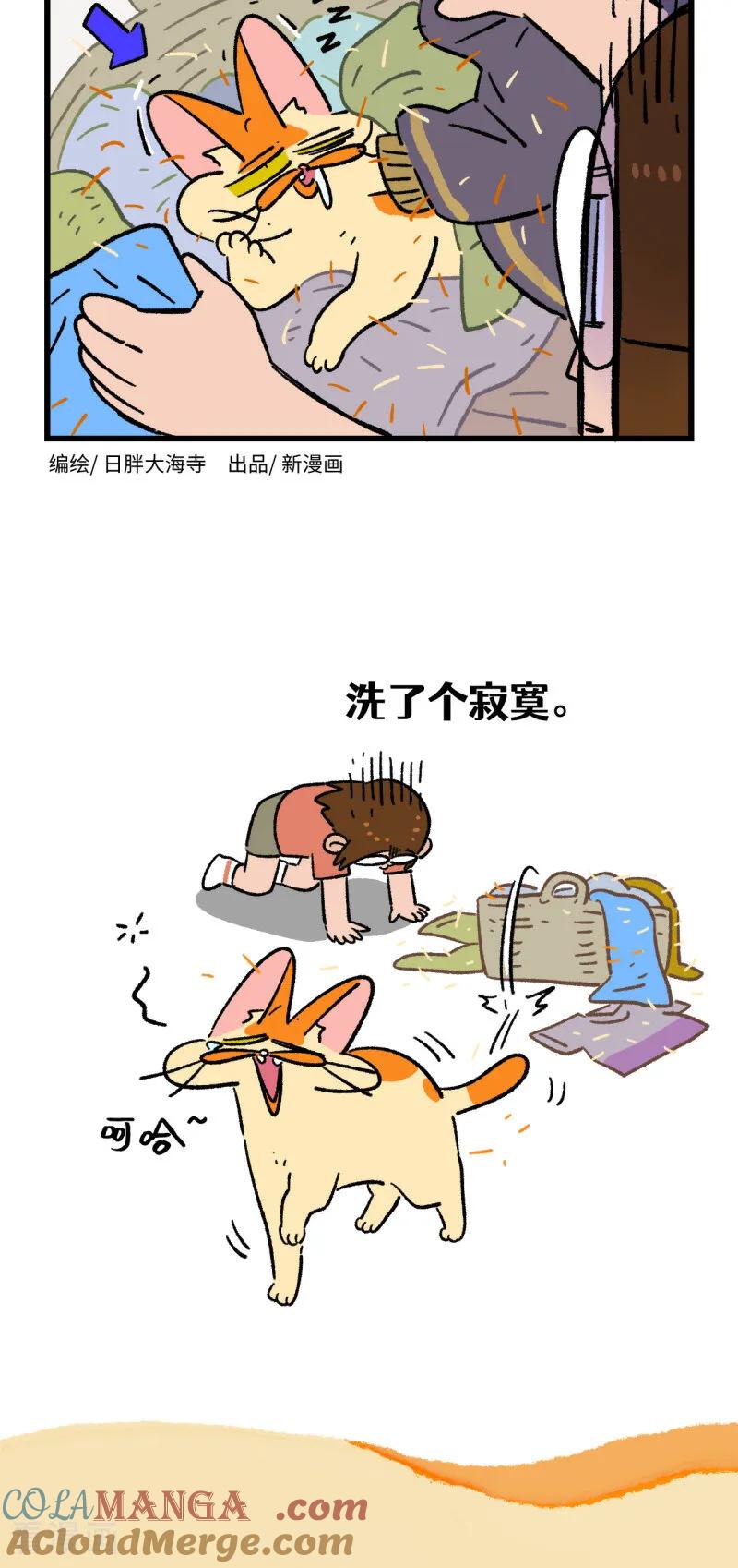 第178话-阿满和麦茶-新漫画 日胖大海寺（第2张）