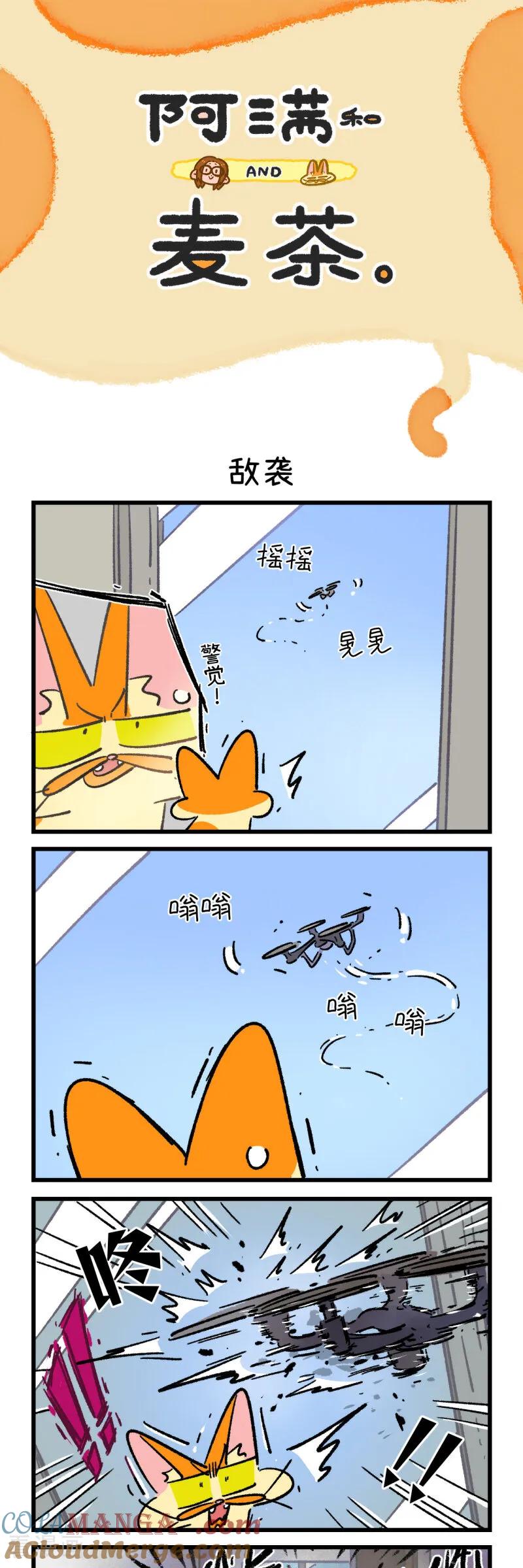 第179话-阿满和麦茶-新漫画 日胖大海寺（第3张）