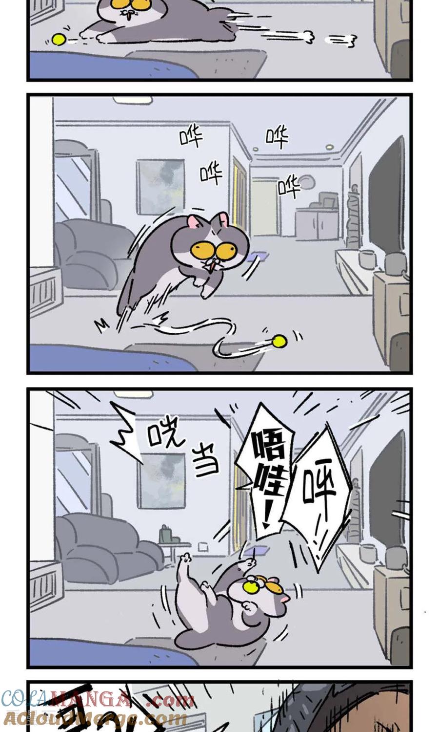第182话-阿满和麦茶-新漫画 日胖大海寺（第11张）