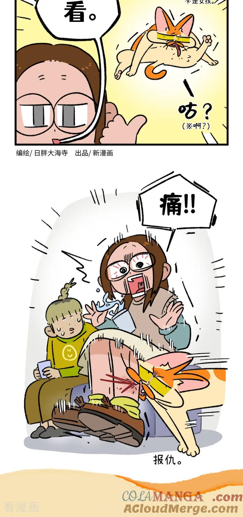 第183话-阿满和麦茶-新漫画 日胖大海寺（第2张）