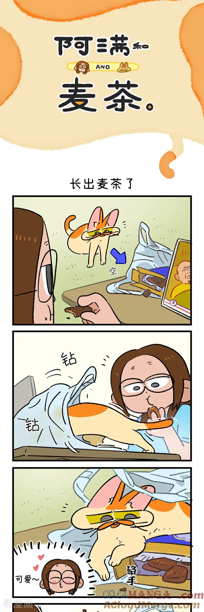 第185话-阿满和麦茶-新漫画 日胖大海寺（第3张）