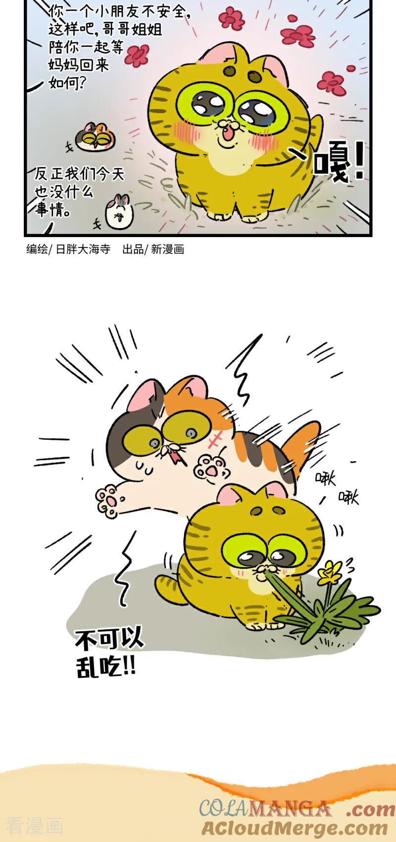 第186话-阿满和麦茶-新漫画 日胖大海寺（第4张）