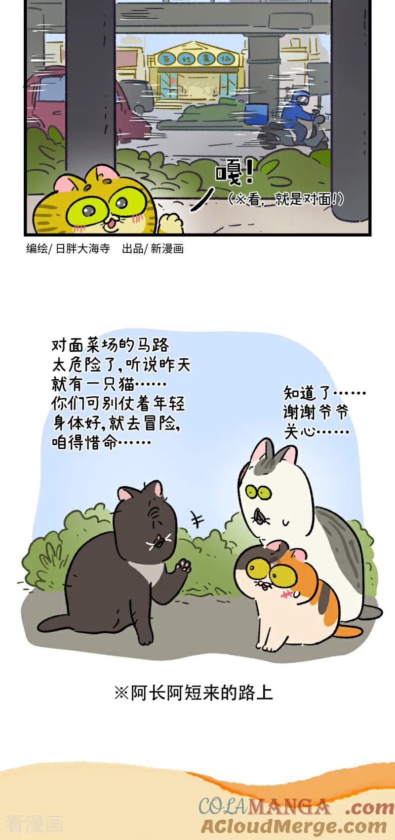 第186话-阿满和麦茶-新漫画 日胖大海寺（第6张）