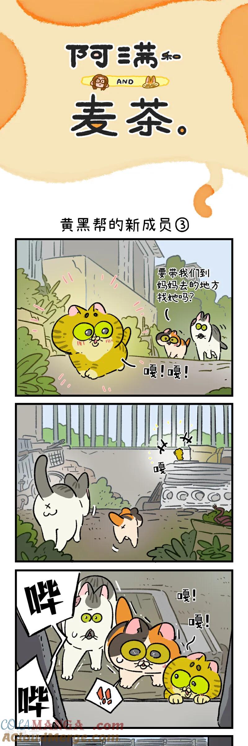 第186话-阿满和麦茶-新漫画 日胖大海寺（第5张）