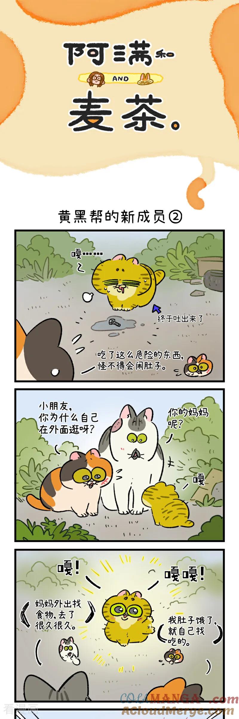 第186话-阿满和麦茶-新漫画 日胖大海寺（第3张）