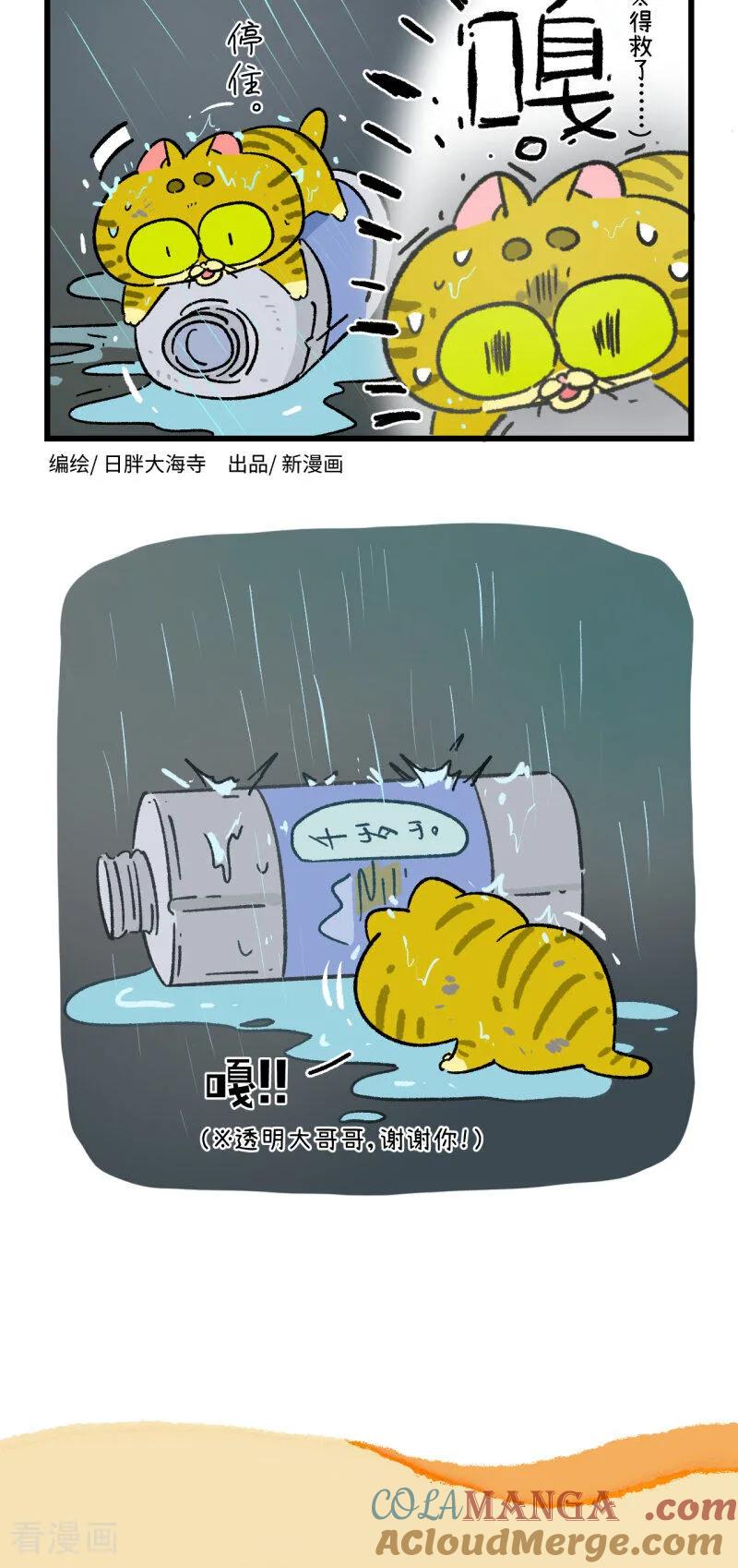 第191话-阿满和麦茶-新漫画 日胖大海寺（第8张）