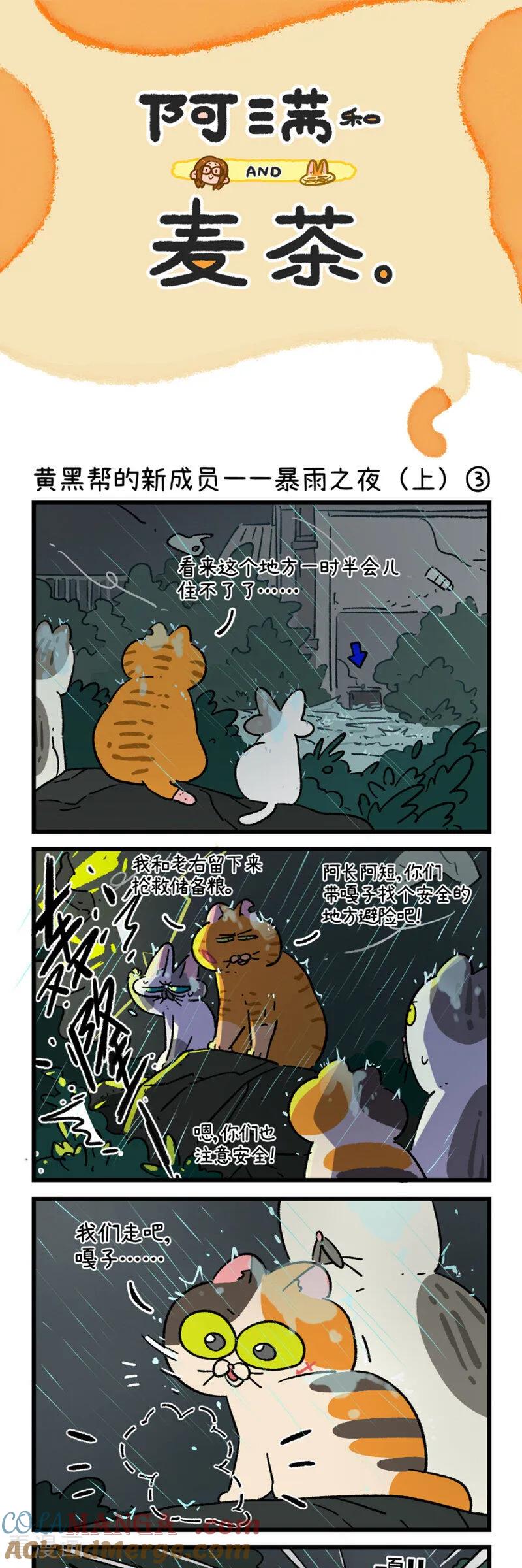 第191话-阿满和麦茶-新漫画 日胖大海寺（第5张）