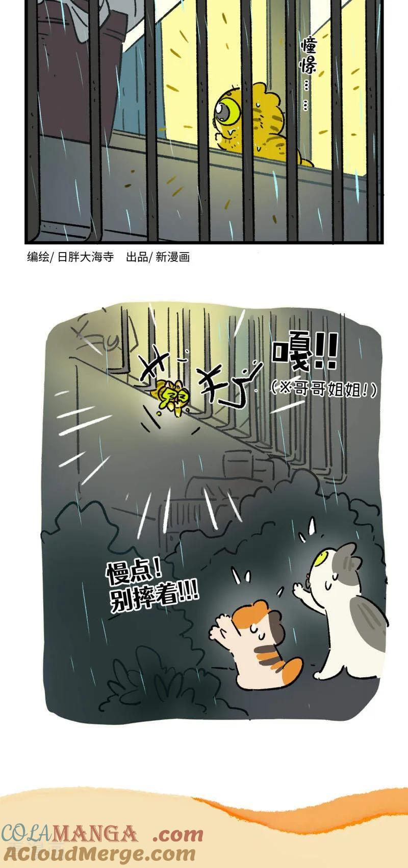 第192话-阿满和麦茶-新漫画 日胖大海寺（第6张）