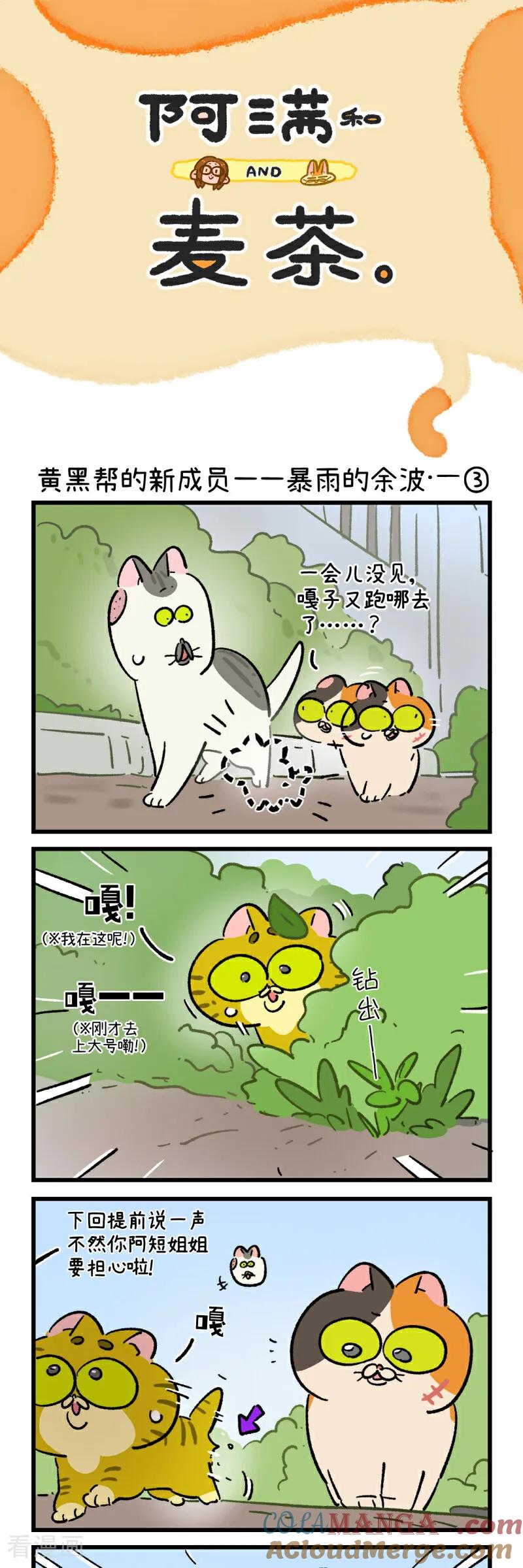 第193话-阿满和麦茶-新漫画 日胖大海寺（第5张）