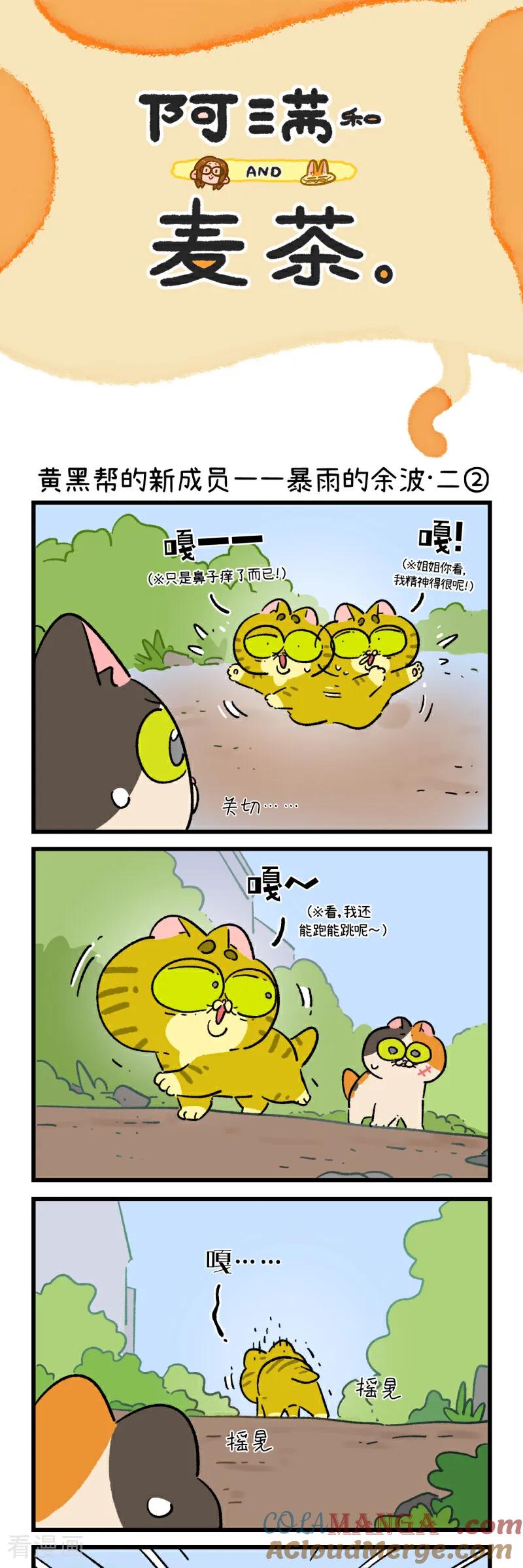 第194话-阿满和麦茶-新漫画 日胖大海寺（第3张）