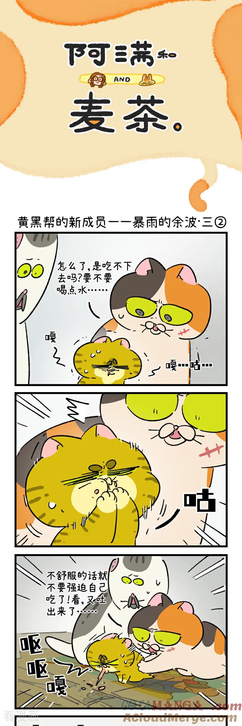 第195话-阿满和麦茶-新漫画 日胖大海寺（第3张）