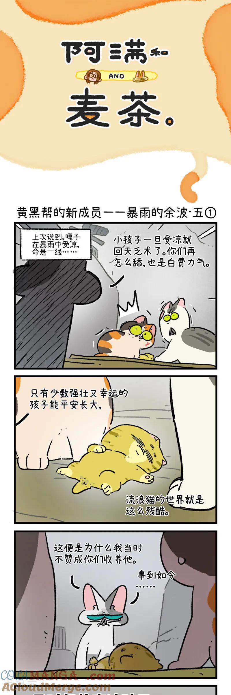 第195话-阿满和麦茶-新漫画 日胖大海寺（第13张）