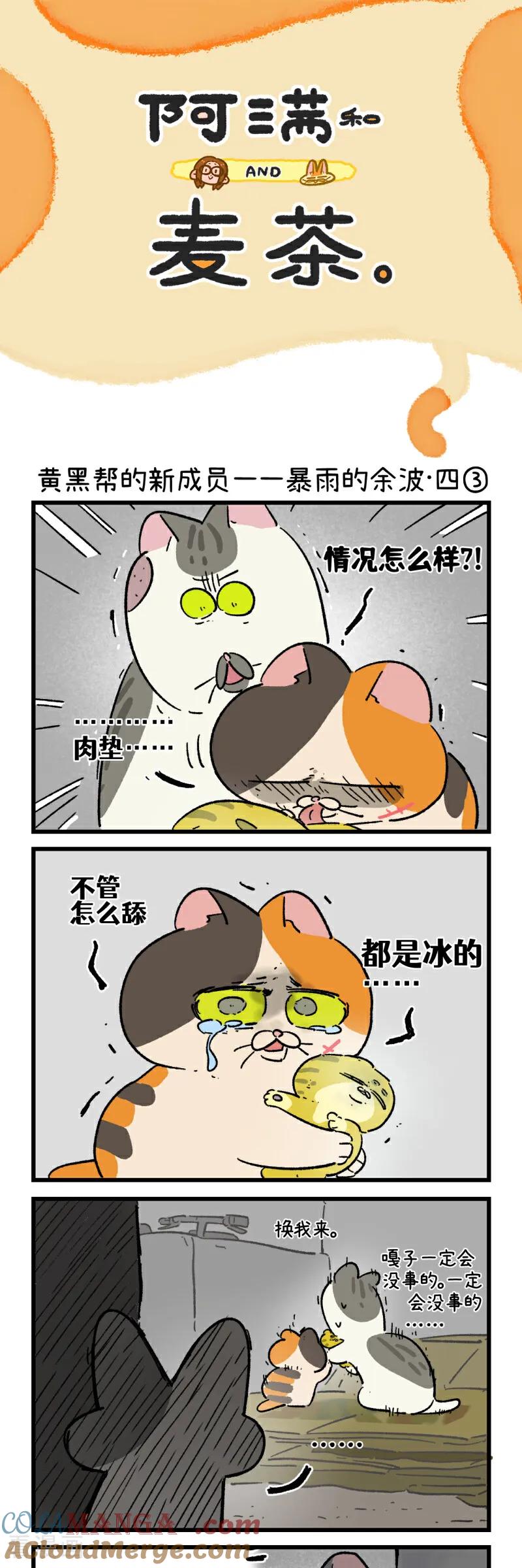 第195话-阿满和麦茶-新漫画 日胖大海寺（第11张）