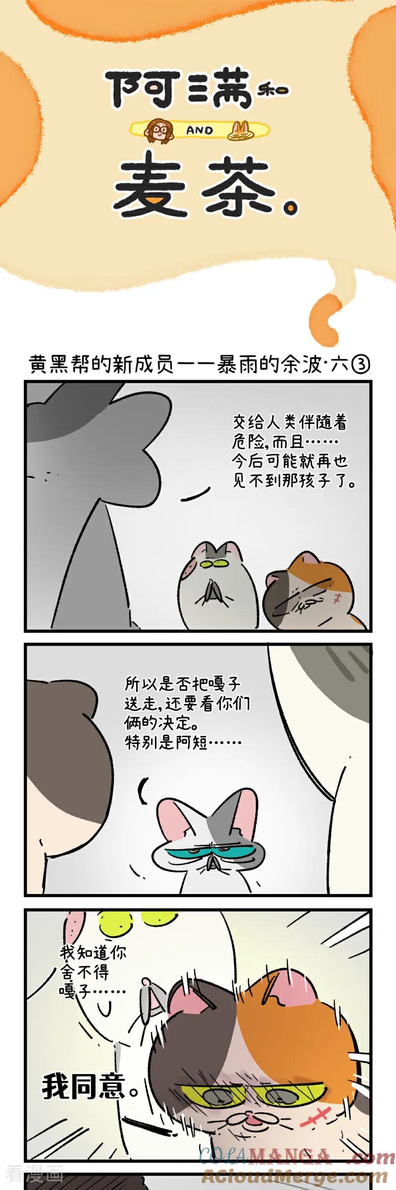第195话-阿满和麦茶-新漫画 日胖大海寺（第29张）