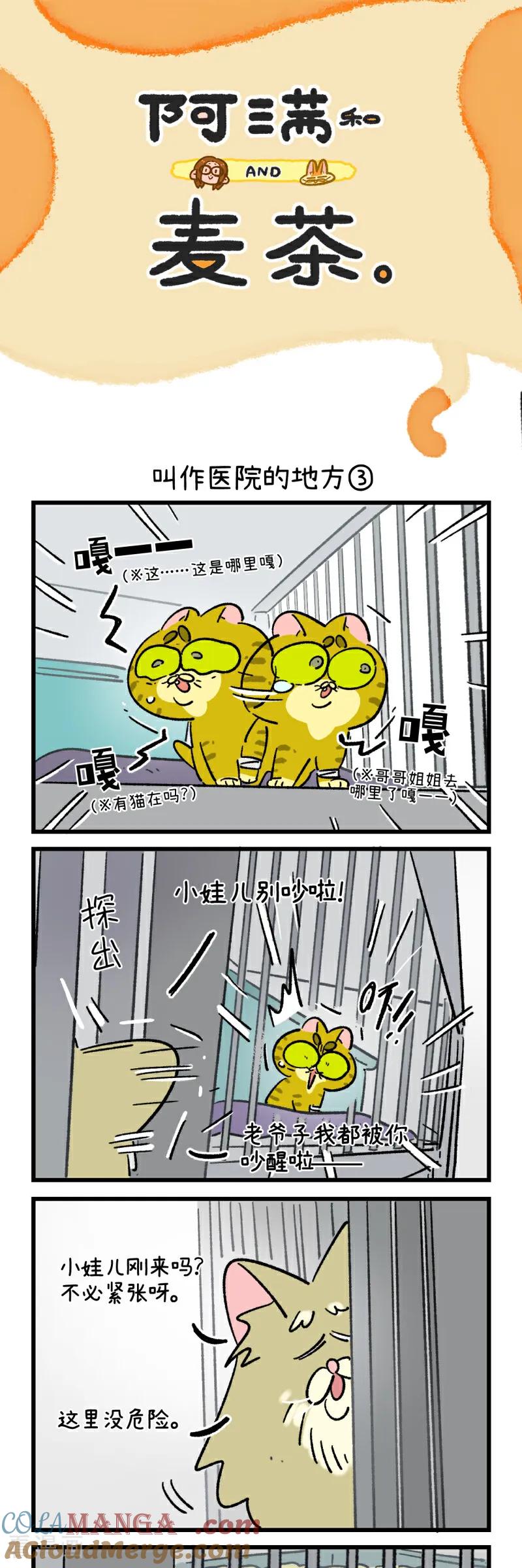 第196话-阿满和麦茶-新漫画 日胖大海寺（第5张）
