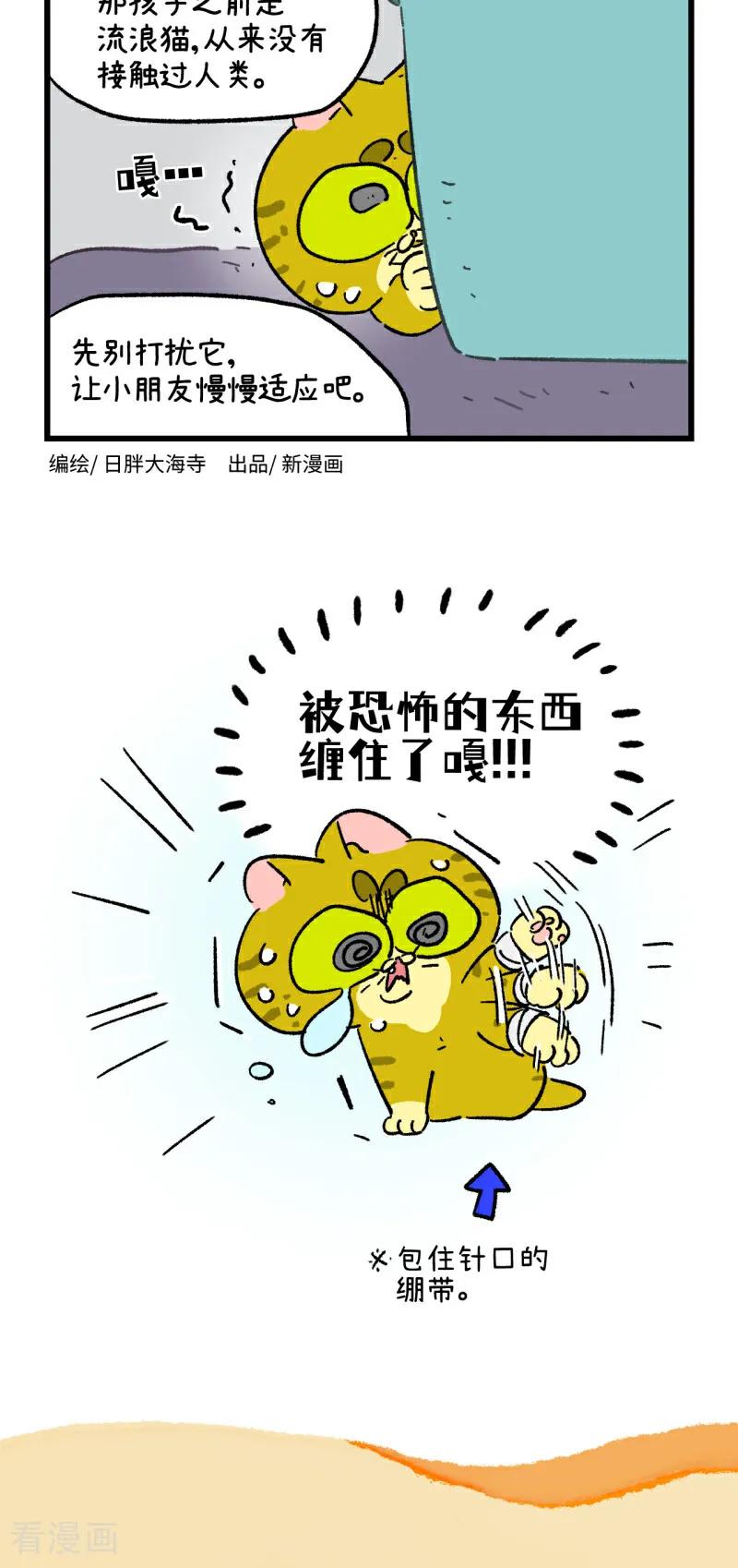 第196话-阿满和麦茶-新漫画 日胖大海寺（第4张）
