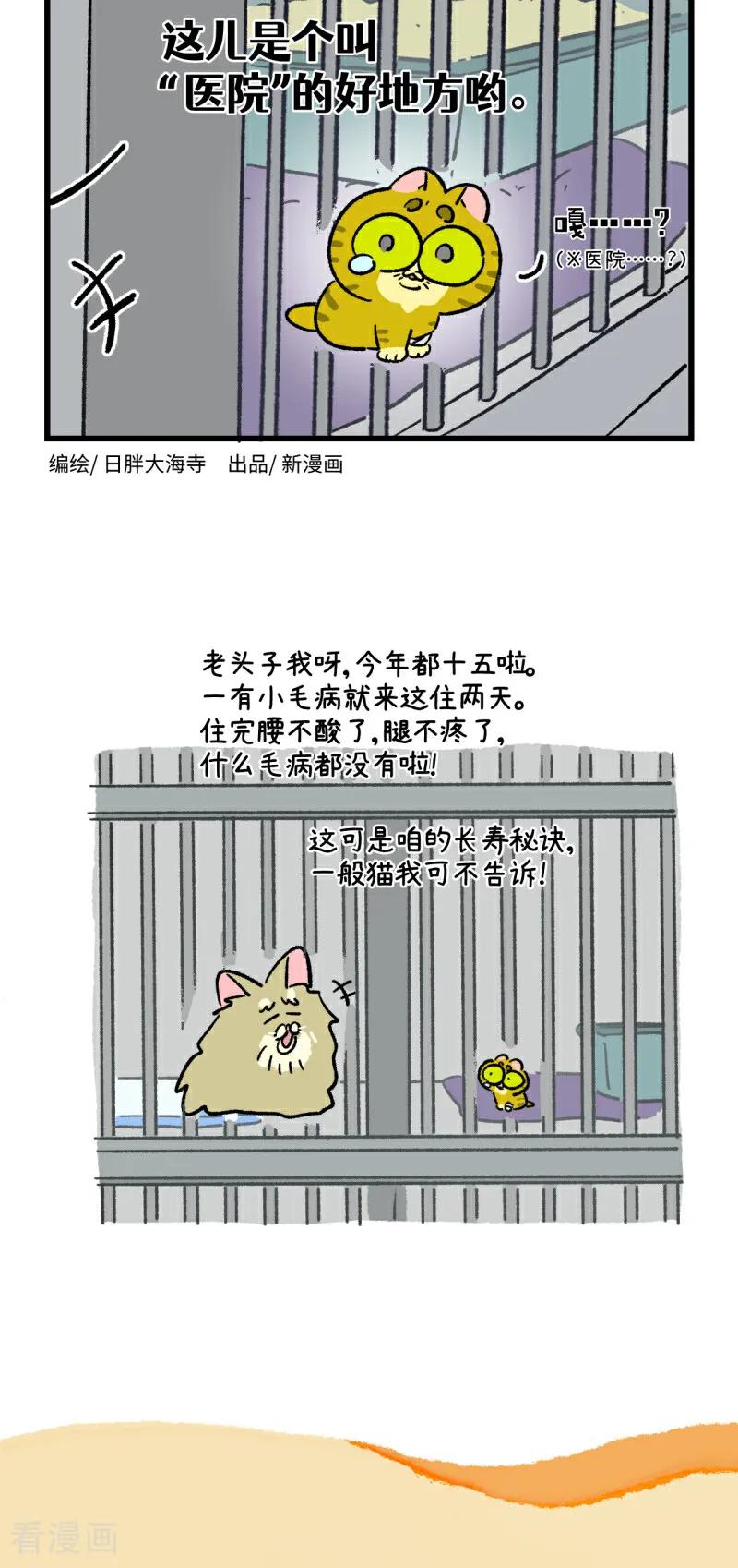 第196话-阿满和麦茶-新漫画 日胖大海寺（第6张）