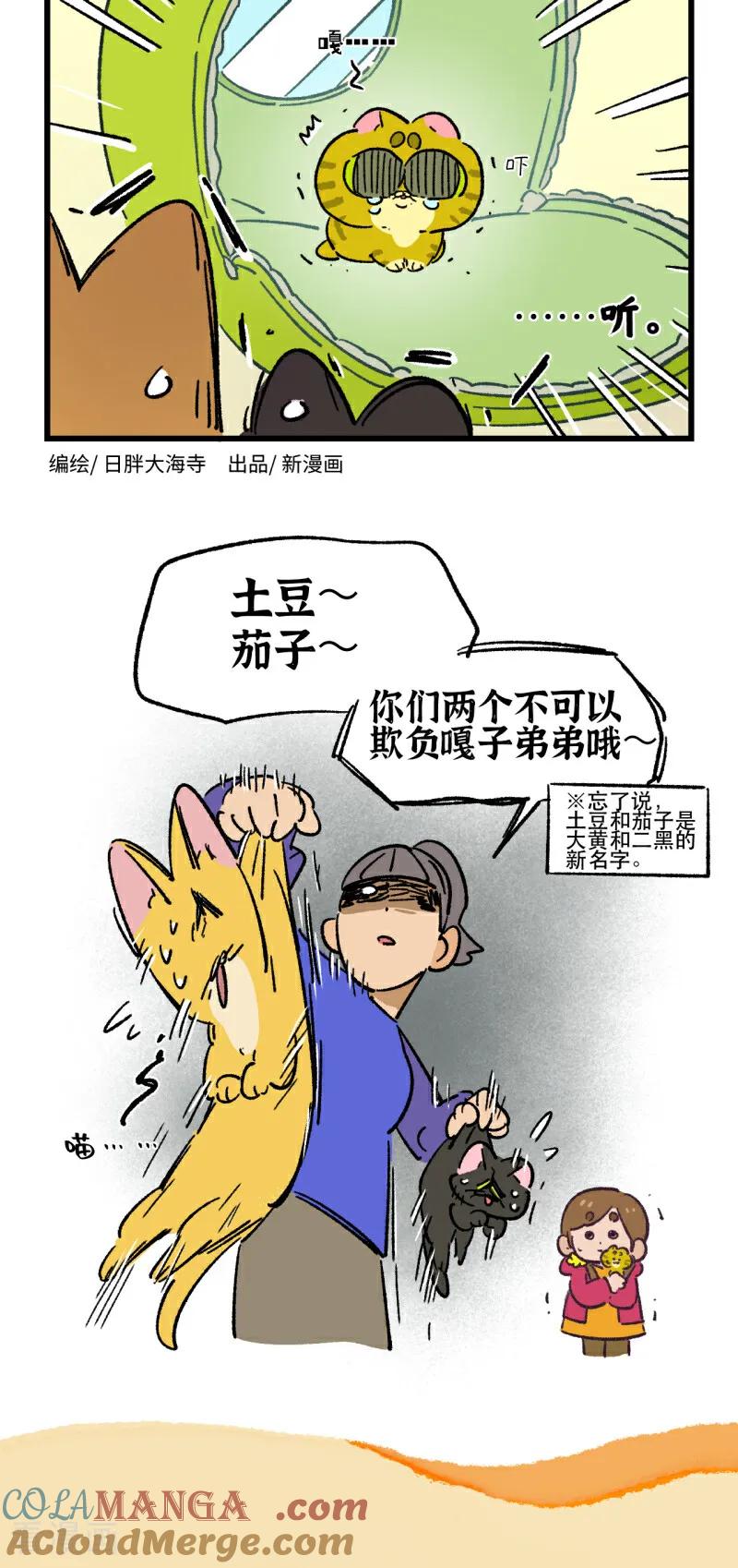 第199话-阿满和麦茶-新漫画 日胖大海寺（第8张）