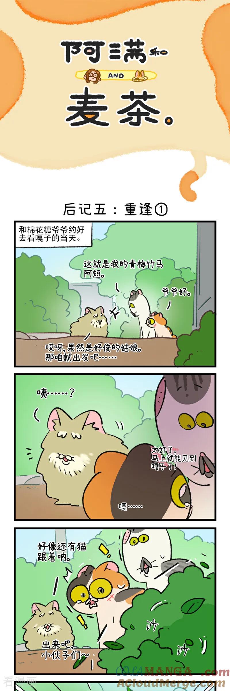 第201话-阿满和麦茶-新漫画 日胖大海寺（第13张）