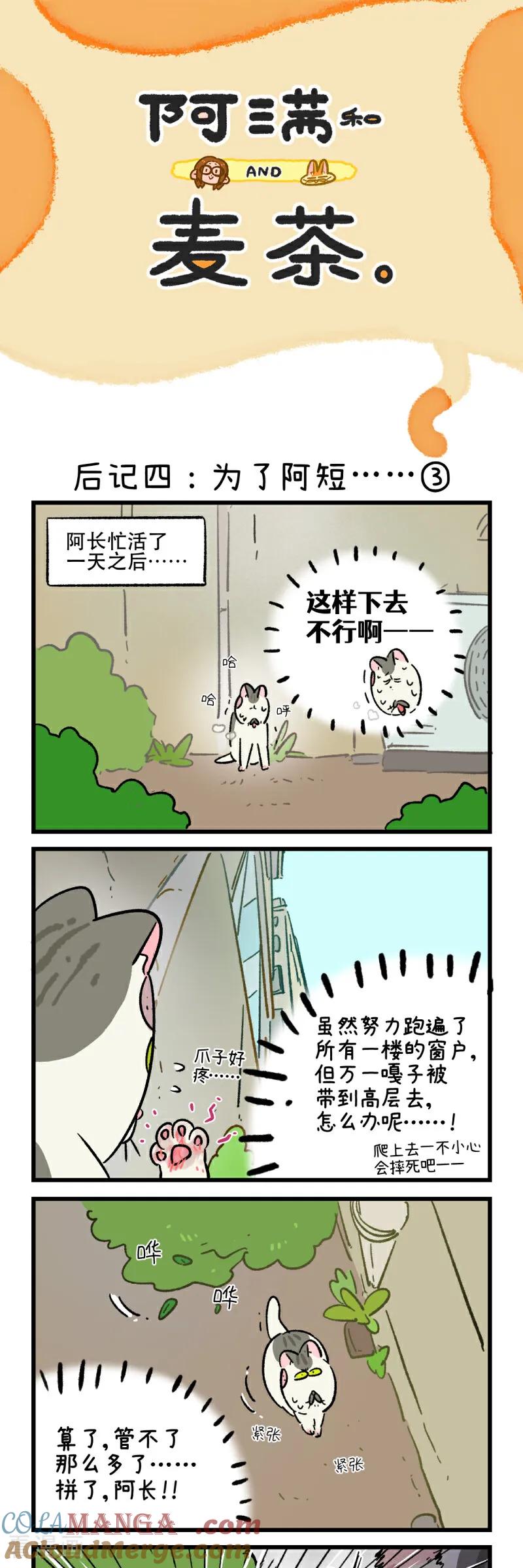 第201话-阿满和麦茶-新漫画 日胖大海寺（第5张）