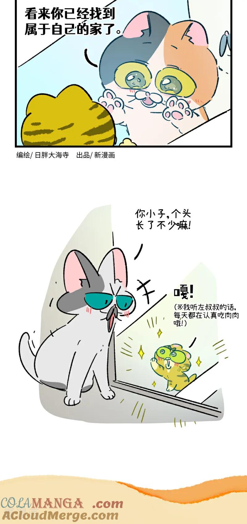 第202话-阿满和麦茶-新漫画 日胖大海寺（第6张）
