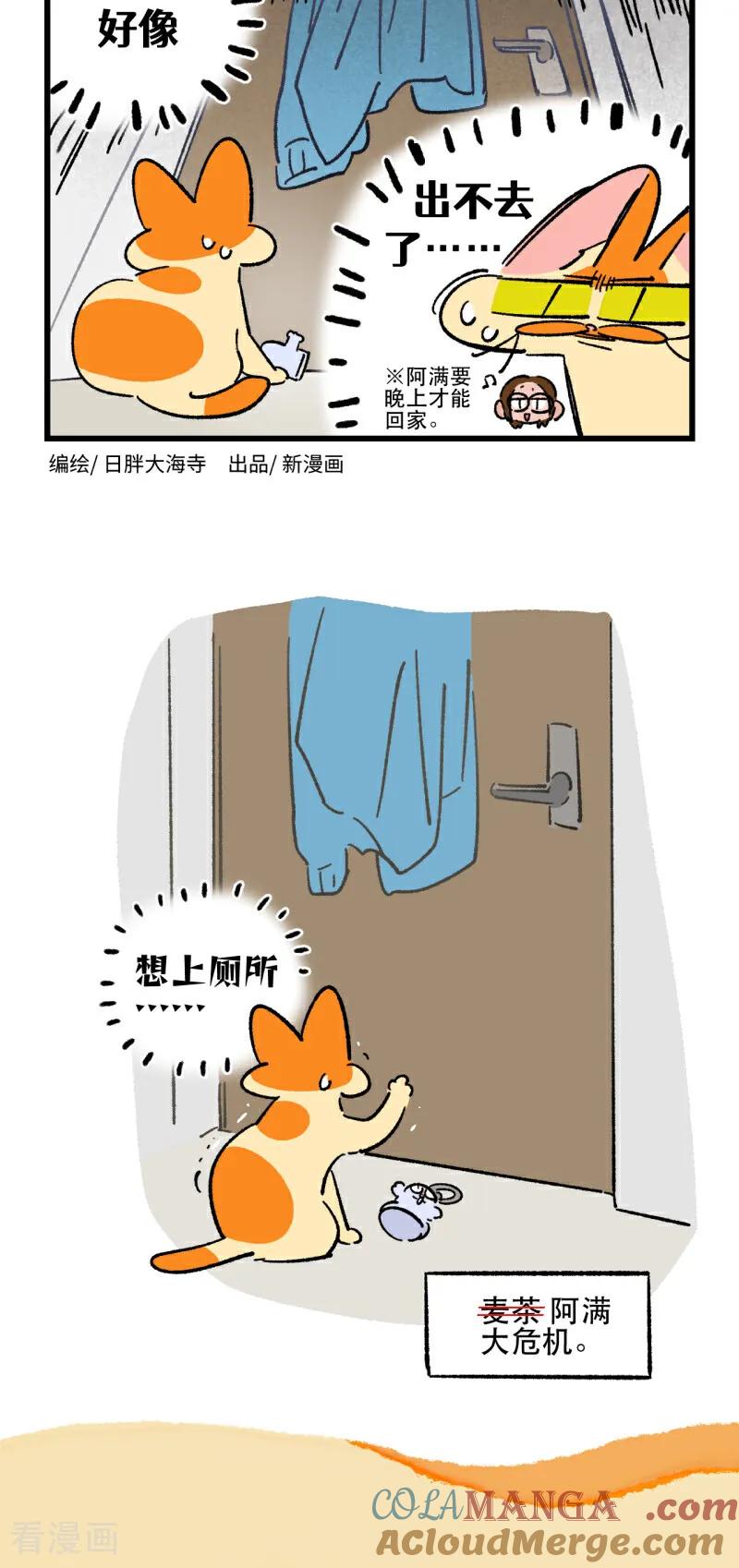 第203话-阿满和麦茶-新漫画 日胖大海寺（第2张）