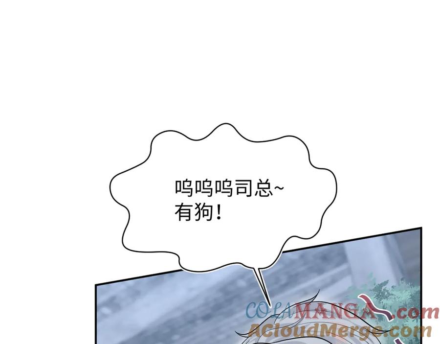 65.jpg
