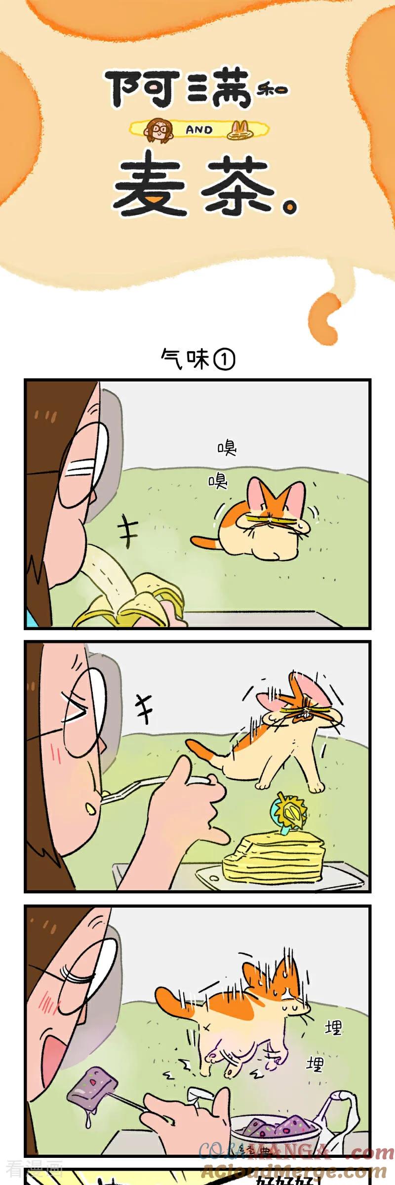 第210话-阿满和麦茶-新漫画 日胖大海寺（第3张）