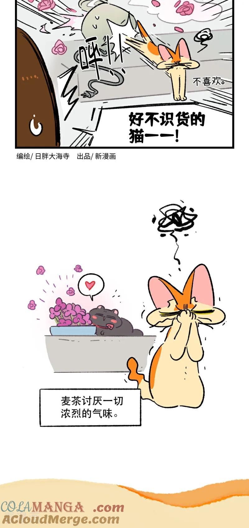 第210话-阿满和麦茶-新漫画 日胖大海寺（第6张）