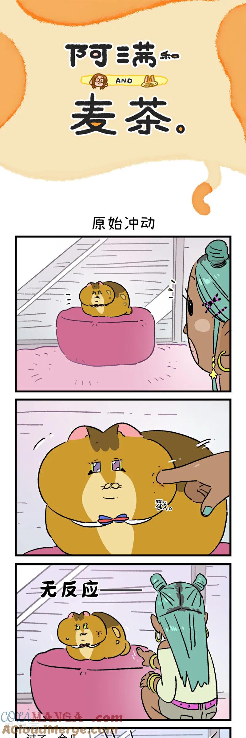 第211话-阿满和麦茶-新漫画 日胖大海寺（第5张）