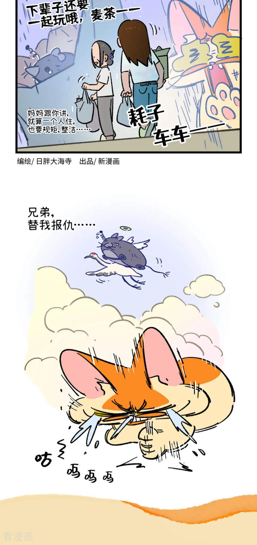 第216话-阿满和麦茶-新漫画 日胖大海寺（第6张）